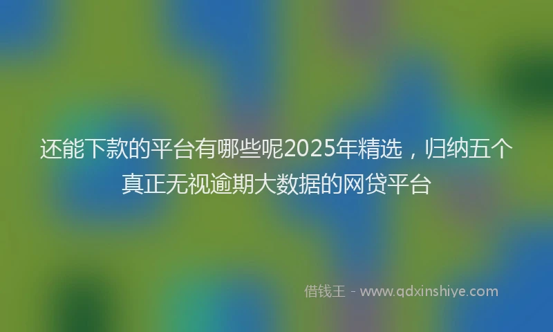还能下款的平台有哪些呢2025年精选，归纳五个真正无视逾期大数据的网贷平台