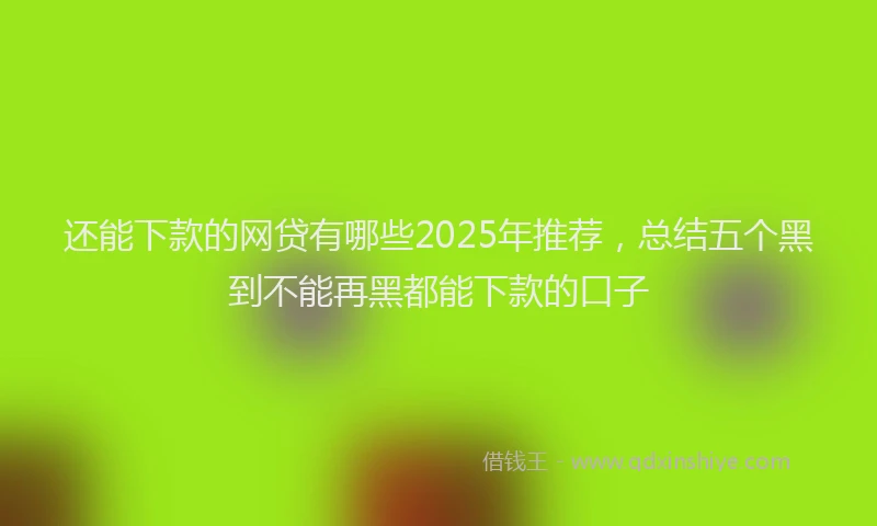还能下款的网贷有哪些2025年推荐，总结五个黑到不能再黑都能下款的口子