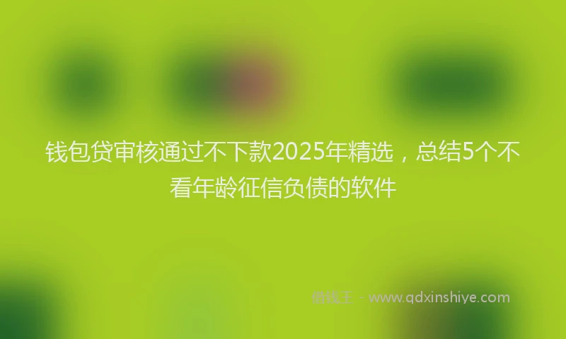 钱包贷审核通过不下款2025年精选，总结5个不看年龄征信负债的软件