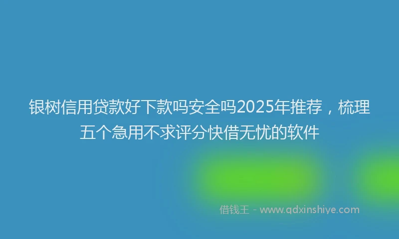 银树信用贷款好下款吗安全吗2025年推荐，梳理五个急用不求评分快借无忧的软件