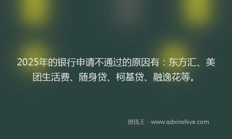 2025年的银行申请不通过的原因有：东方汇、美团生活费、随身贷、柯基贷、融逸花等。