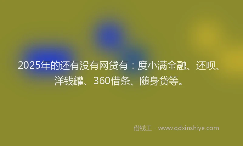 2025年的还有没有网贷有：度小满金融、还呗、洋钱罐、360借条、随身贷等。