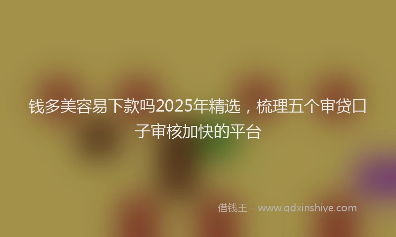 钱多美容易下款吗2025年精选，梳理五个审贷口子审核加快的平台