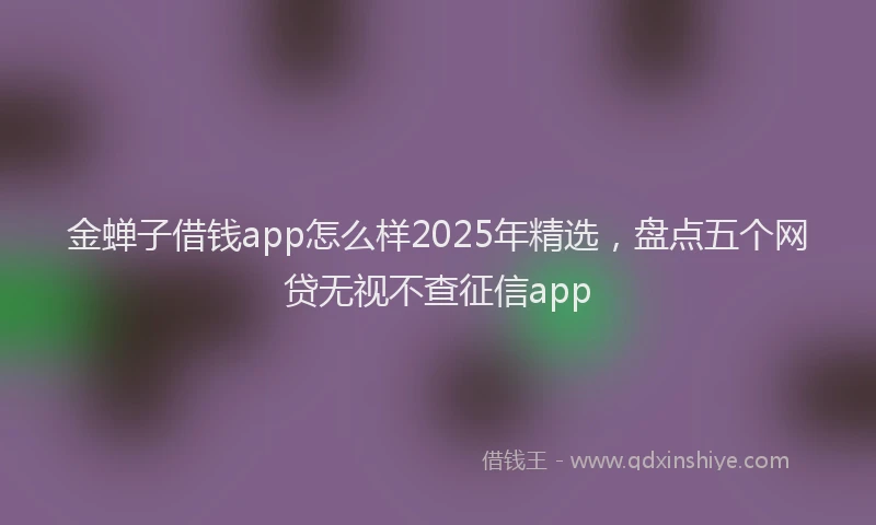 金蝉子借钱app怎么样2025年精选，盘点五个网贷无视不查征信app