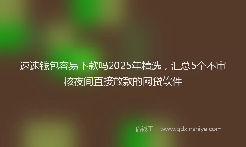 速速钱包容易下款吗2025年精选，汇总5个不审核夜间直接放款的网贷软件