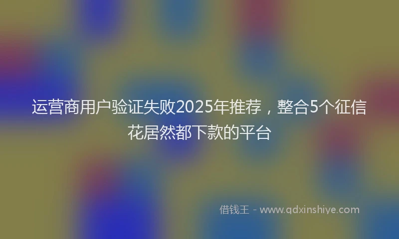 运营商用户验证失败2025年推荐，整合5个征信花居然都下款的平台