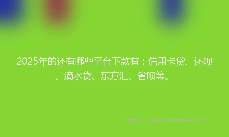 2025年的还有哪些平台下款有：信用卡贷、还呗、滴水贷、东方汇、省呗等。