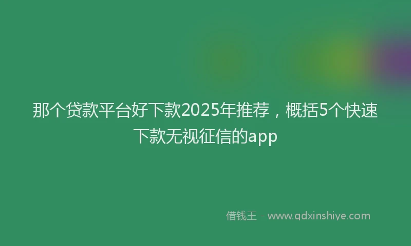 那个贷款平台好下款2025年推荐，概括5个快速下款无视征信的app