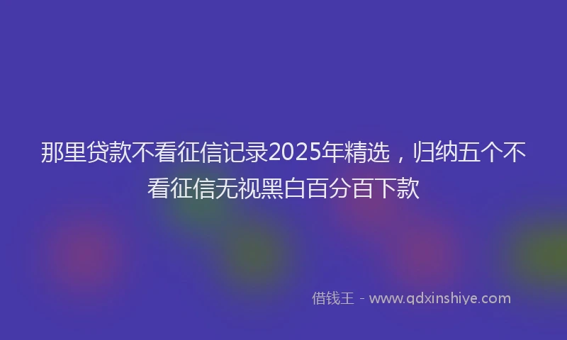 那里贷款不看征信记录2025年精选，归纳五个不看征信无视黑白百分百下款