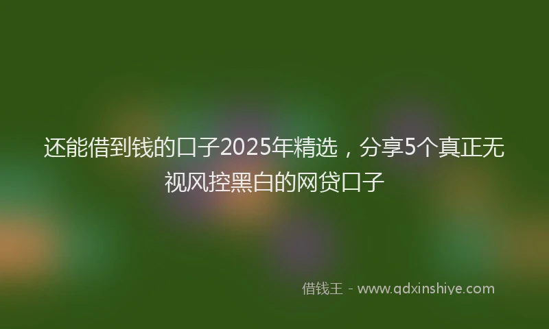 还能借到钱的口子2025年精选，分享5个真正无视风控黑白的网贷口子