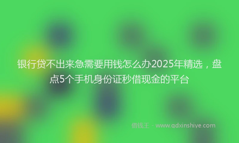银行贷不出来急需要用钱怎么办2025年精选，盘点5个手机身份证秒借现金的平台