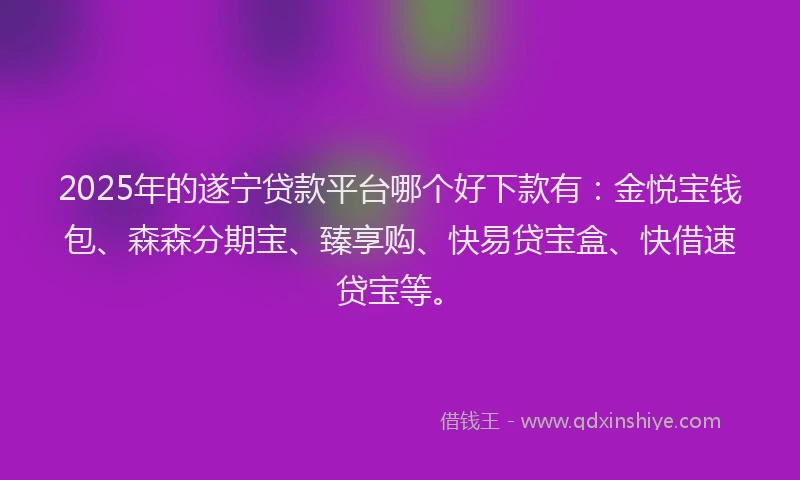 2025年的遂宁贷款平台哪个好下款有：金悦宝钱包、森森分期宝、臻享购、快易贷宝盒、快借速贷宝等。