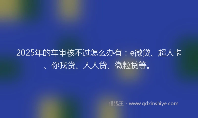 2025年的车审核不过怎么办有：e微贷、超人卡、你我贷、人人贷、微粒贷等。