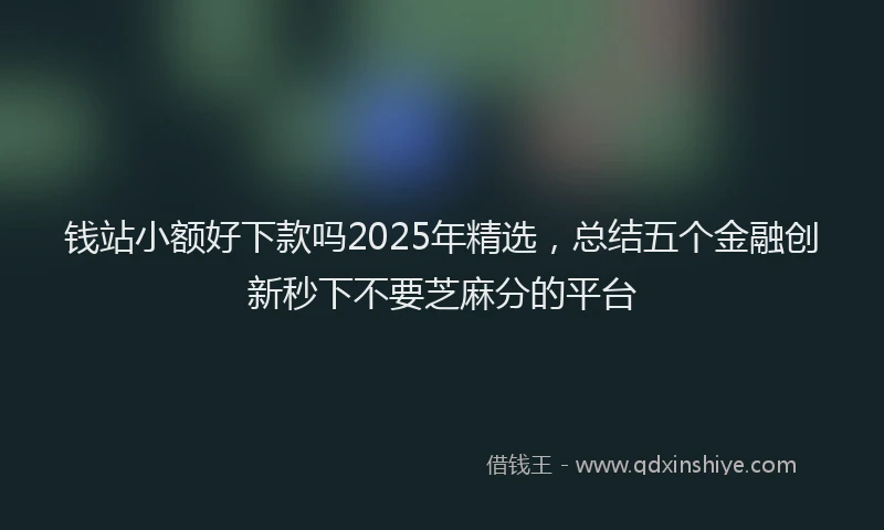 钱站小额好下款吗2025年精选，总结五个金融创新秒下不要芝麻分的平台