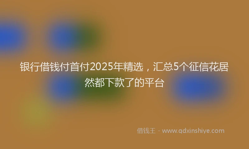 银行借钱付首付2025年精选，汇总5个征信花居然都下款了的平台