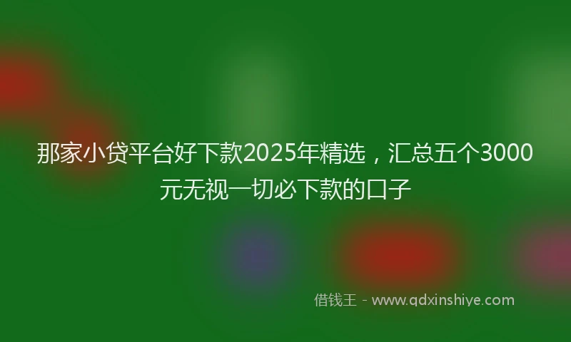 那家小贷平台好下款2025年精选，汇总五个3000元无视一切必下款的口子
