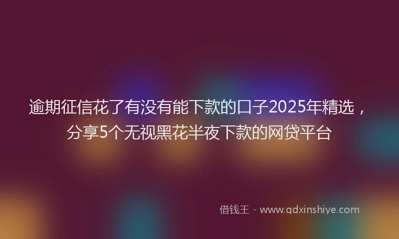 逾期征信花了有没有能下款的口子2025年精选，分享5个无视黑花半夜下款的网贷平台