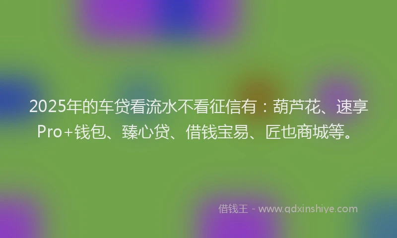 2025年的车贷看流水不看征信有：葫芦花、速享Pro+钱包、臻心贷、借钱宝易、匠也商城等。