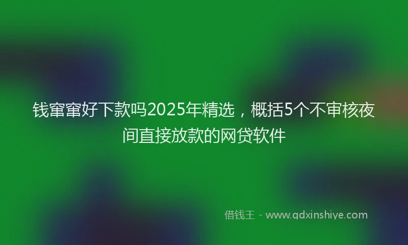 钱窜窜好下款吗2025年精选，概括5个不审核夜间直接放款的网贷软件