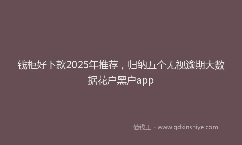 钱柜好下款2025年推荐，归纳五个无视逾期大数据花户黑户app
