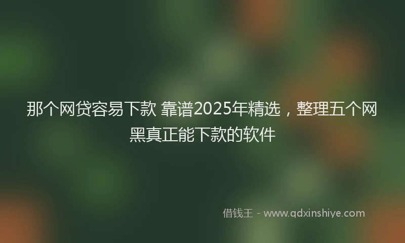 那个网贷容易下款 靠谱2025年精选，整理五个网黑真正能下款的软件