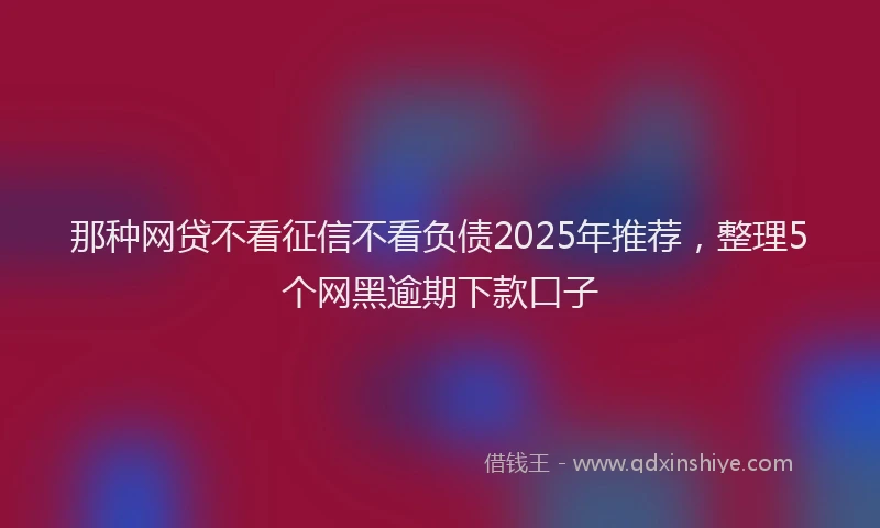 那种网贷不看征信不看负债2025年推荐，整理5个网黑逾期下款口子