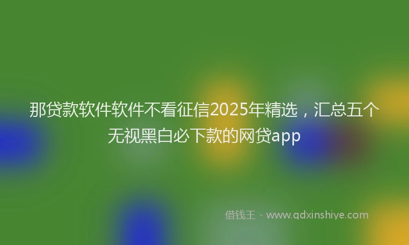 那贷款软件软件不看征信2025年精选，汇总五个无视黑白必下款的网贷app