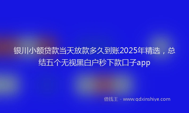 银川小额贷款当天放款多久到账2025年精选，总结五个无视黑白户秒下款口子app