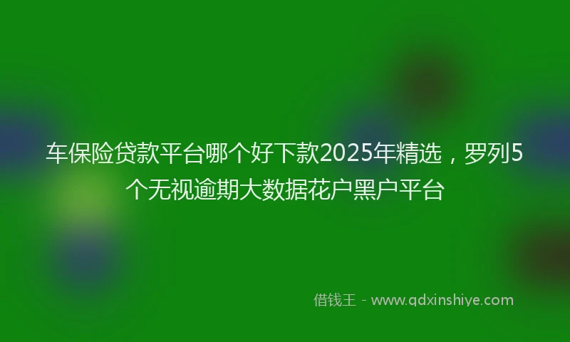 车保险贷款平台哪个好下款2025年精选，罗列5个无视逾期大数据花户黑户平台