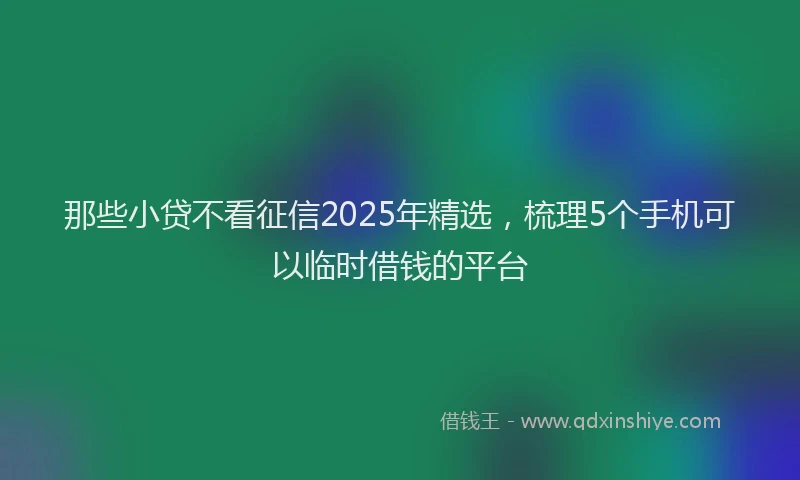 那些小贷不看征信2025年精选，梳理5个手机可以临时借钱的平台