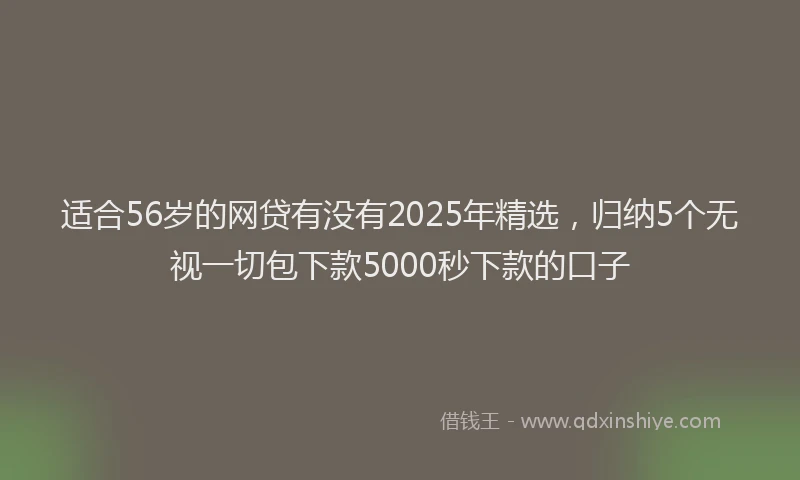 适合56岁的网贷有没有2025年精选，归纳5个无视一切包下款5000秒下款的口子