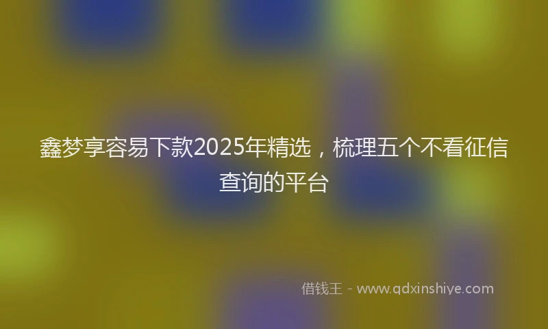 鑫梦享容易下款2025年精选，梳理五个不看征信查询的平台