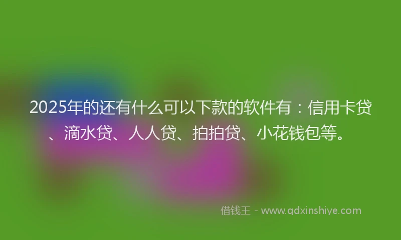 2025年的还有什么可以下款的软件有：信用卡贷、滴水贷、人人贷、拍拍贷、小花钱包等。