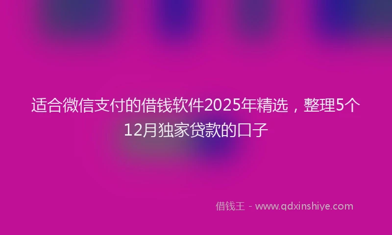 适合微信支付的借钱软件2025年精选，整理5个12月独家贷款的口子