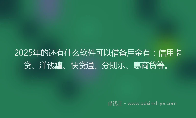 2025年的还有什么软件可以借备用金有：信用卡贷、洋钱罐、快贷通、分期乐、惠商贷等。