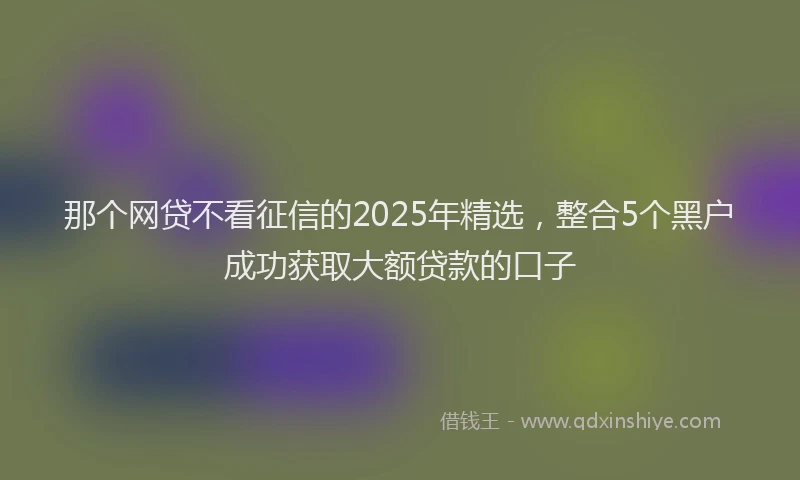 那个网贷不看征信的2025年精选，整合5个黑户成功获取大额贷款的口子
