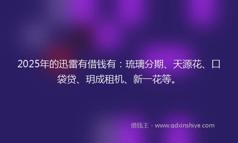2025年的迅雷有借钱有：琉璃分期、天源花、口袋贷、玥成租机、新一花等。