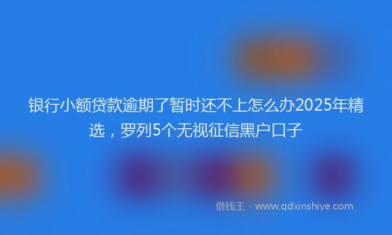 银行小额贷款逾期了暂时还不上怎么办2025年精选，罗列5个无视征信黑户口子
