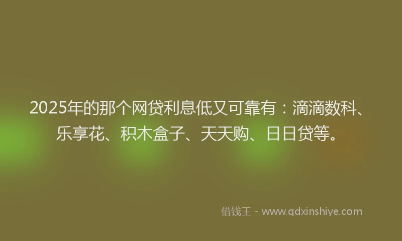 2025年的那个网贷利息低又可靠有：滴滴数科、乐享花、积木盒子、天天购、日日贷等。