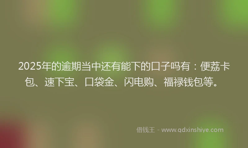 2025年的逾期当中还有能下的口子吗有：便荔卡包、速下宝、口袋金、闪电购、福禄钱包等。