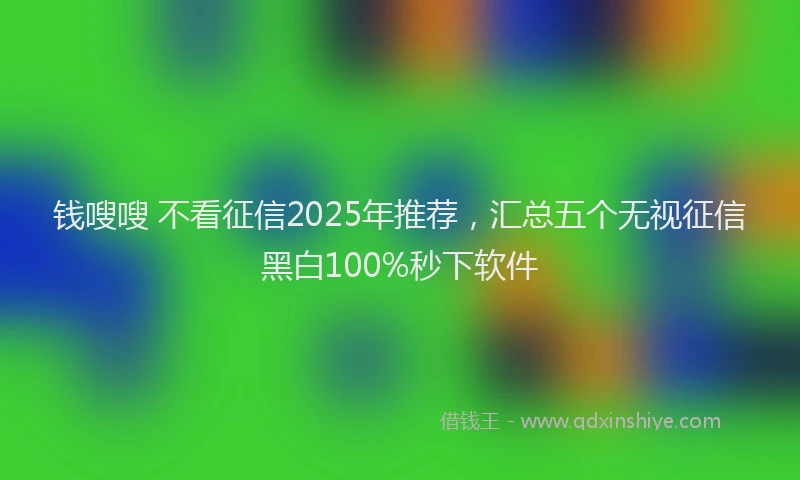 钱嗖嗖 不看征信2025年推荐，汇总五个无视征信黑白100%秒下软件