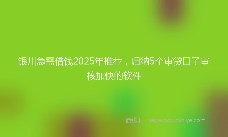 银川急需借钱2025年推荐，归纳5个审贷口子审核加快的软件