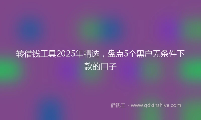 转借钱工具2025年精选，盘点5个黑户无条件下款的口子