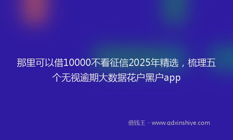 那里可以借10000不看征信2025年精选，梳理五个无视逾期大数据花户黑户app