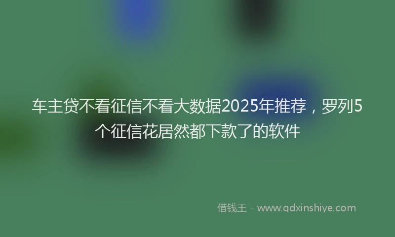 车主贷不看征信不看大数据2025年推荐，罗列5个征信花居然都下款了的软件