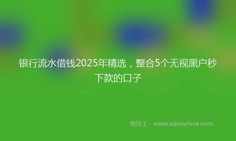 银行流水借钱2025年精选，整合5个无视黑户秒下款的口子