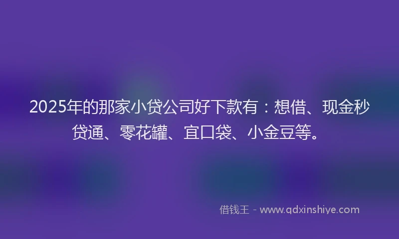 2025年的那家小贷公司好下款有：想借、现金秒贷通、零花罐、宜口袋、小金豆等。
