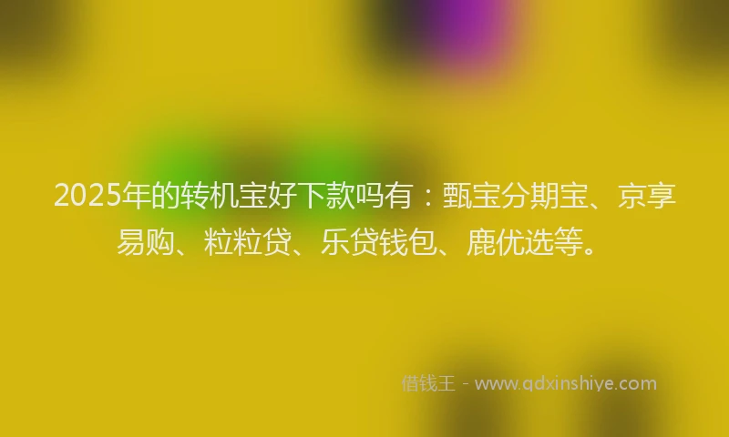 2025年的转机宝好下款吗有：甄宝分期宝、京享易购、粒粒贷、乐贷钱包、鹿优选等。