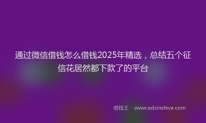 通过微信借钱怎么借钱2025年精选，总结五个征信花居然都下款了的平台