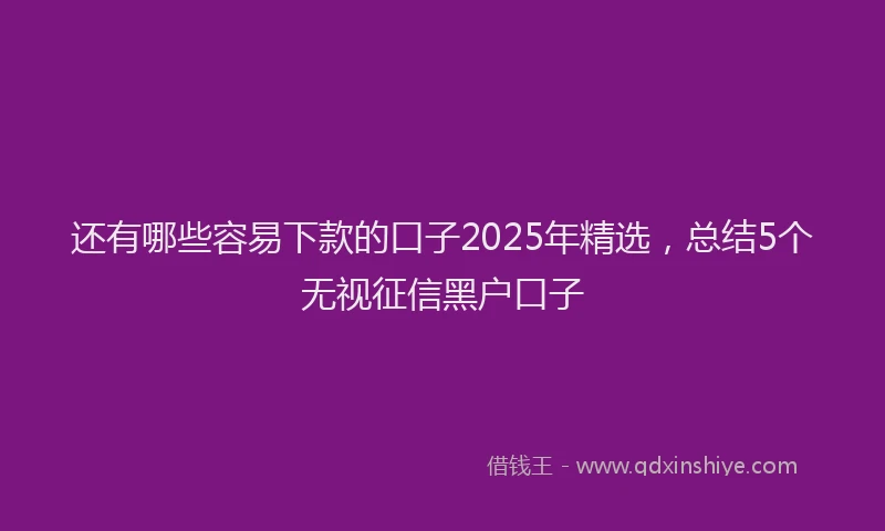 还有哪些容易下款的口子2025年精选，总结5个无视征信黑户口子
